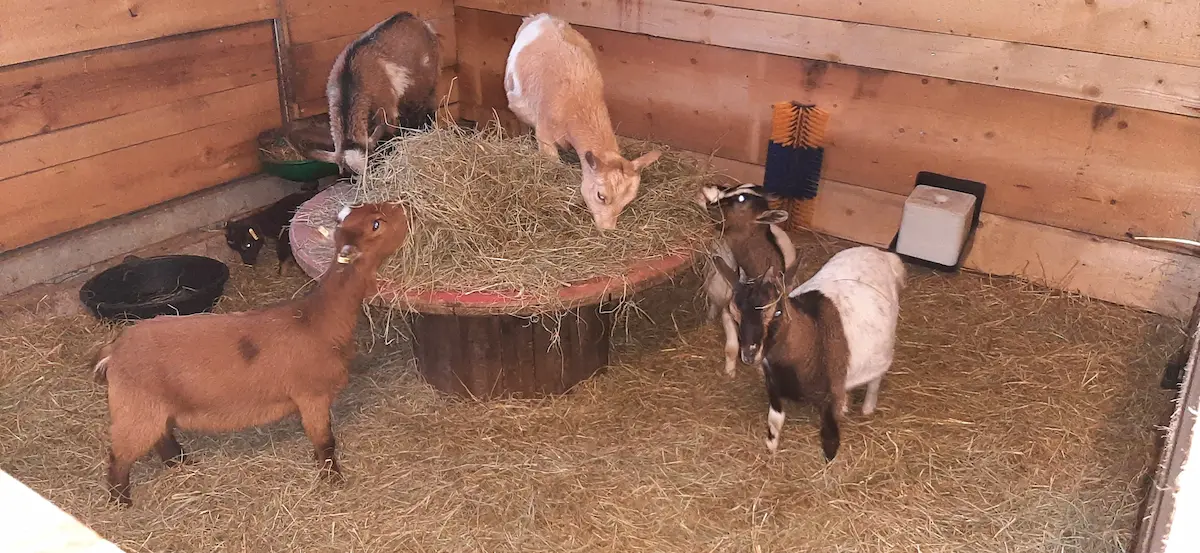 Home 20250330 195700