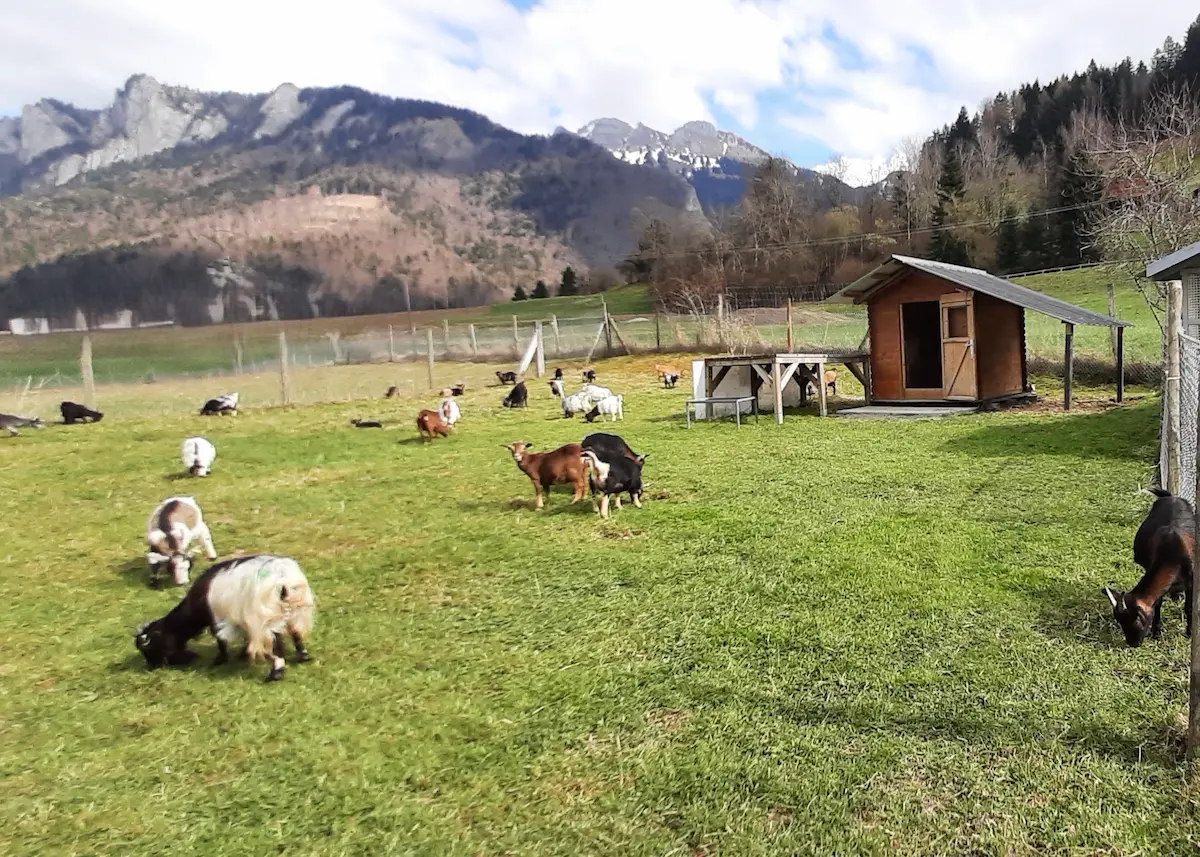 Home 20250401 154358