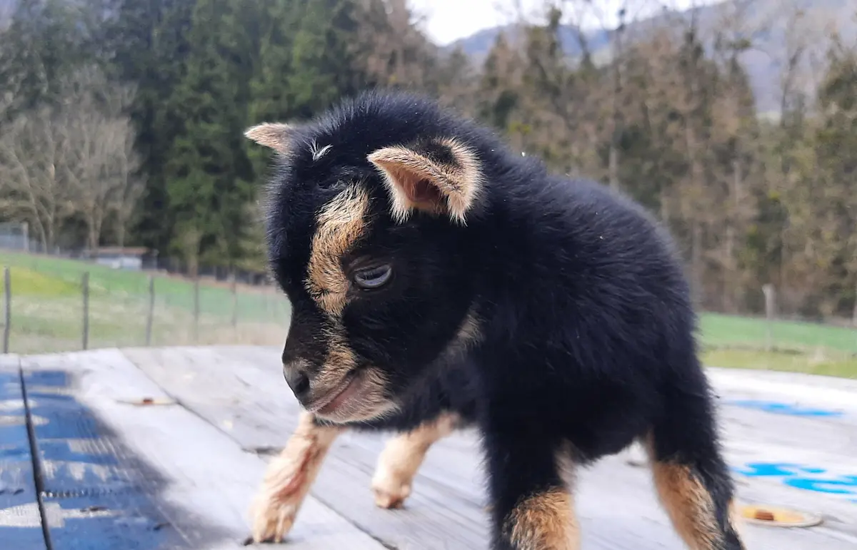 Home 20250402 131727