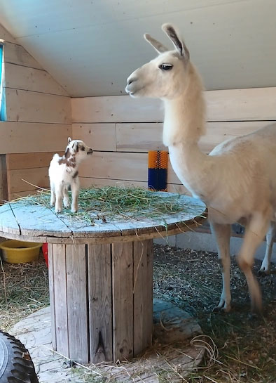 Home 20250707 184306 (1)