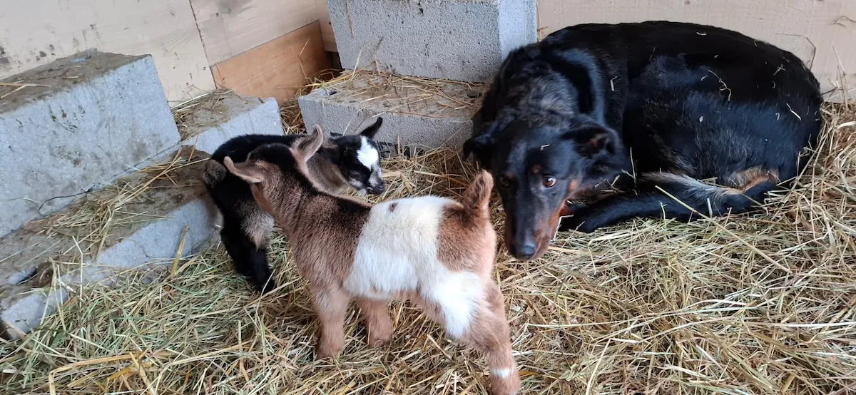 Home img 20251122 wa0349